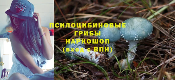 a pvp Абинск