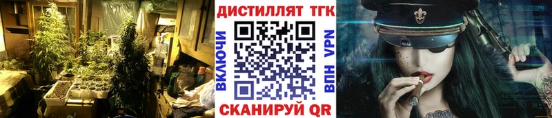 где найти   KRAKEN как зайти  Дистиллят ТГК концентрат  Кисловодск 